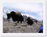 15April05 - EverestTrek 188 * 2048 x 1536 * (632KB)